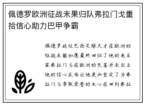 佩德罗欧洲征战未果归队弗拉门戈重拾信心助力巴甲争霸 佩德罗欧洲征战未果归队弗拉门戈重拾信心助力巴甲争霸